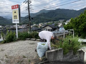 草むしり